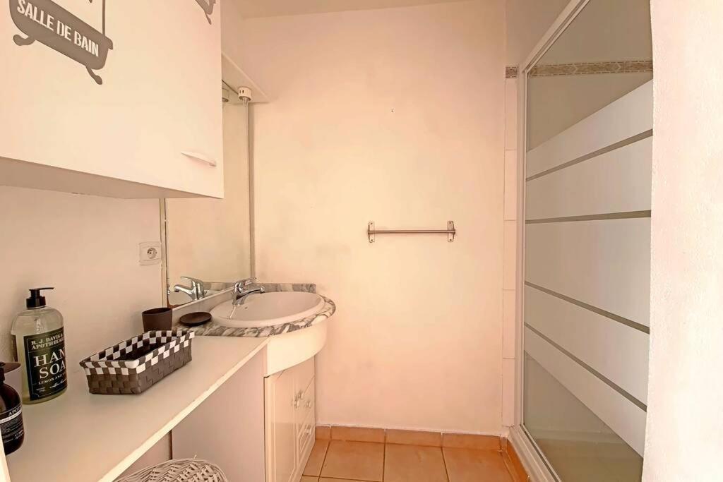 Ref Ls54 : Maison 4 Pers Mas Des Manadiers K1 Сен Мари де ла Мер Екстериор снимка